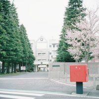 桜と桜丘高校
